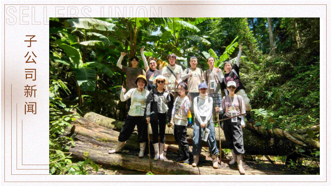 探雨林秘境，與森林同呼吸——記優景公司年中西雙版納團建旅游